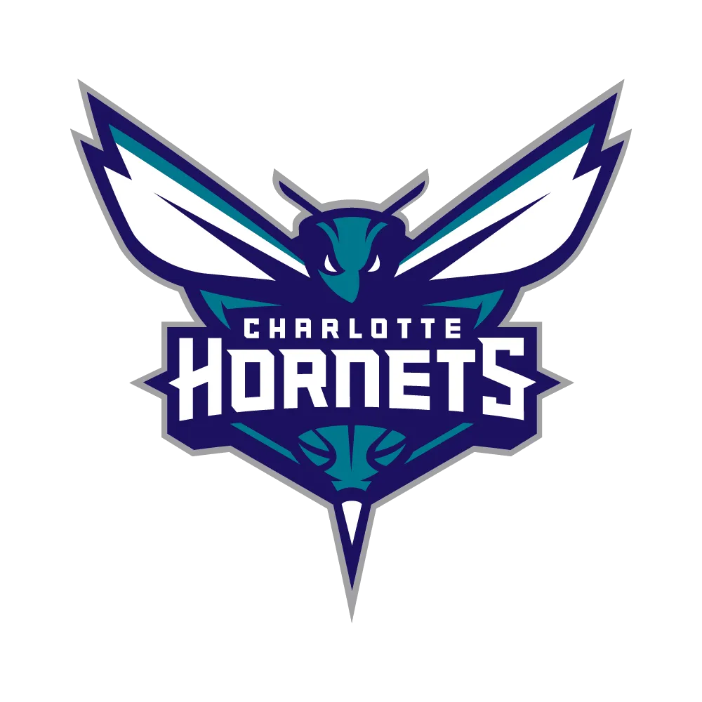 Charlotte Hornets Weatherproof Decals 🐝 | Queen City Pride Stickers for Cars, BBQ Gear & Carolina Fans
