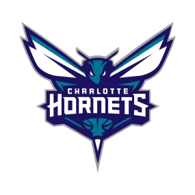 Charlotte Hornets Weatherproof Decals 🐝 | Queen City Pride Stickers for Cars, BBQ Gear & Carolina Fans