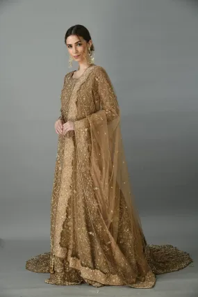 Dark Coffee gown with trail