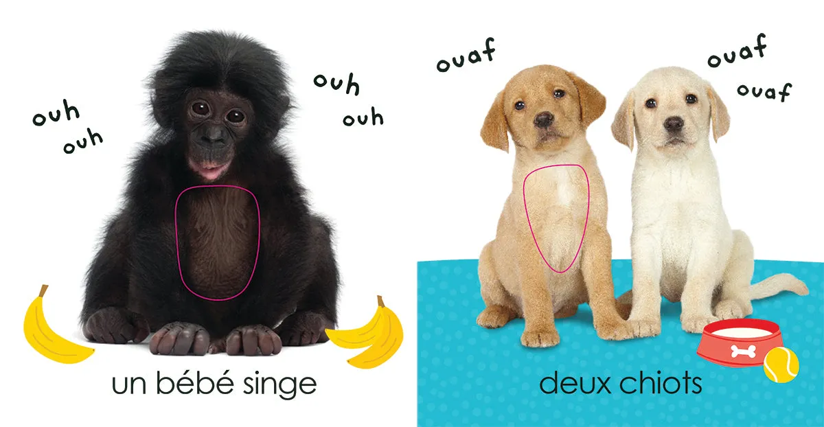 Touche à tout: Bébés Animaux Board Book